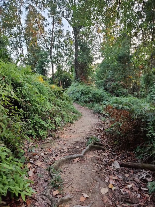 9 Spots To Go Hiking in Kuala Lumpur Without Leaving KL