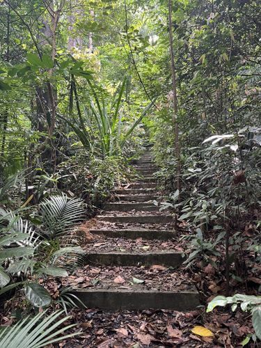 Hiking in Langkawi: 9 Scenic Trails & Waterfalls To Explore