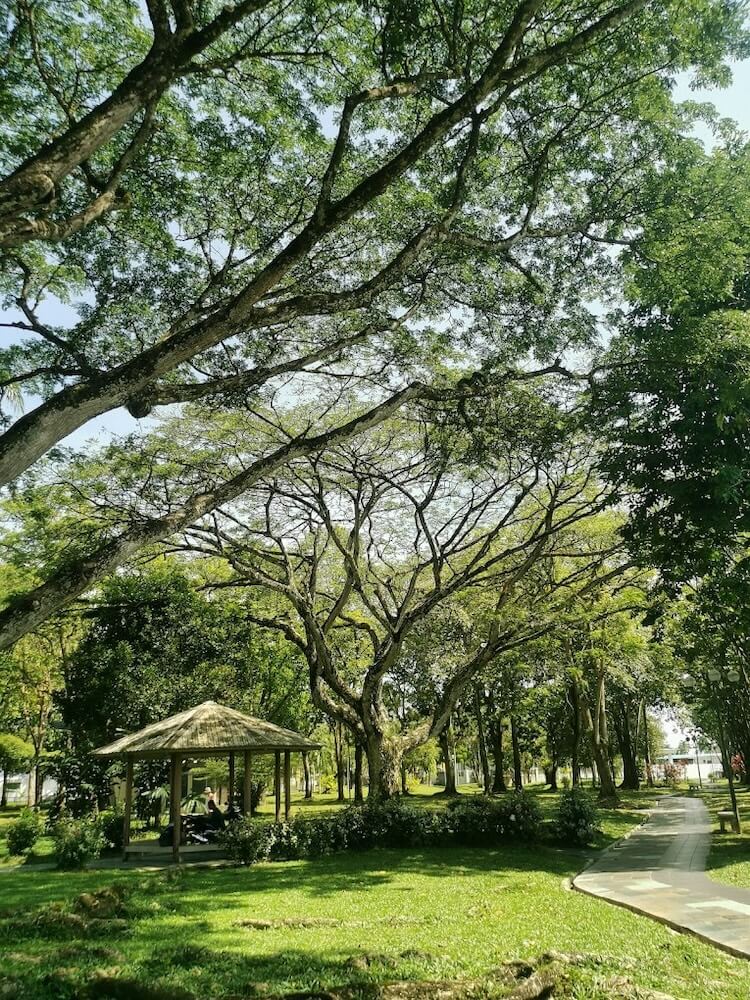 11 Places To Enjoy A Relaxing Picnic In Kuching