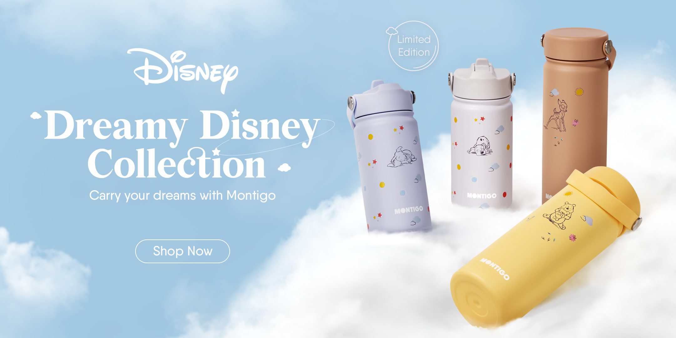 Stay Hydrated and Dream of Disney with Simple Modern's WaterBottles 